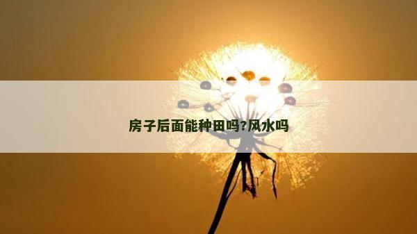 房子后面能種田嗎?風水嗎