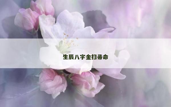 生辰八字金掃帚命