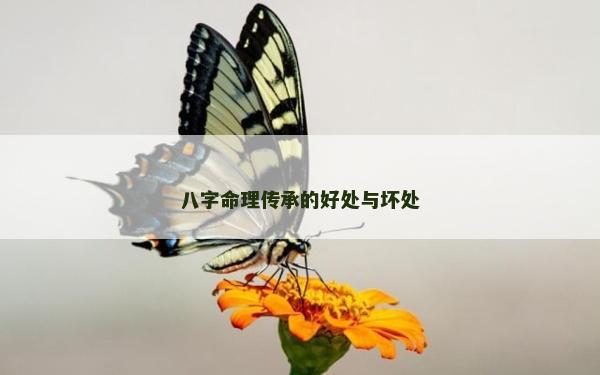 八字命理傳承的好處與壞處