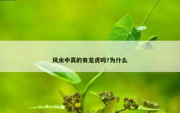 風(fēng)水中真的有龍虎嗎?為什么