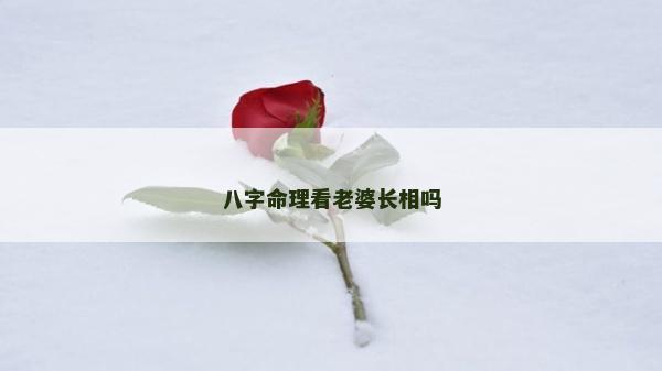 八字命理看老婆長(zhǎng)相嗎