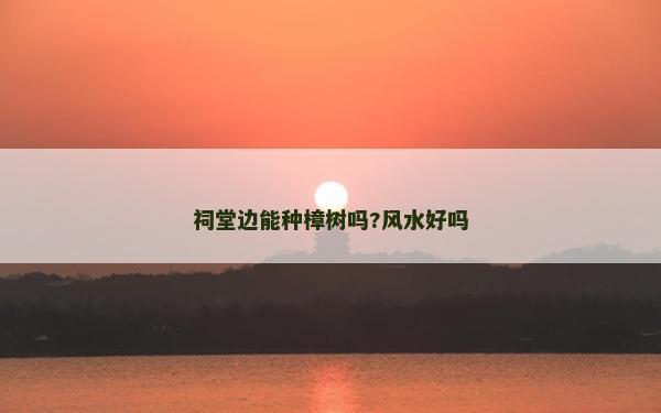 祠堂邊能種樟樹嗎?風水好嗎