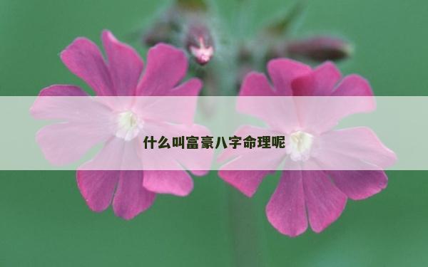 什么叫富豪八字命理呢