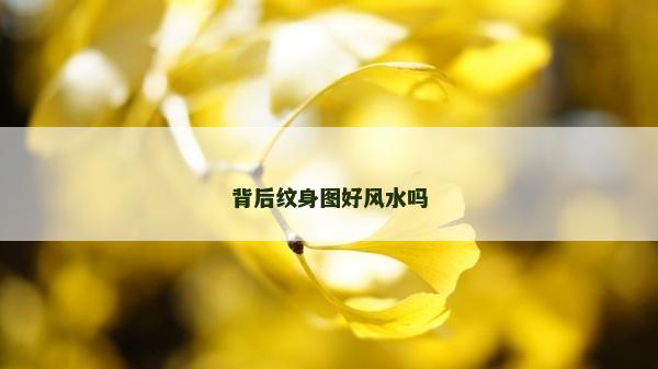 背后紋身圖好風水嗎