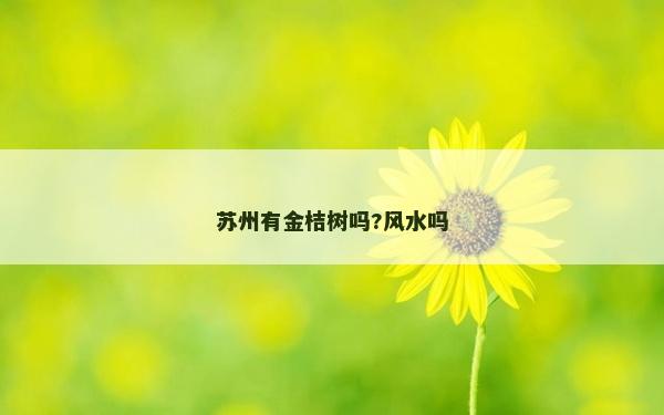 蘇州有金桔樹嗎?風水嗎