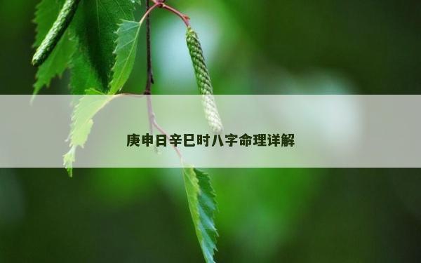 庚申日辛巳時八字命理詳解