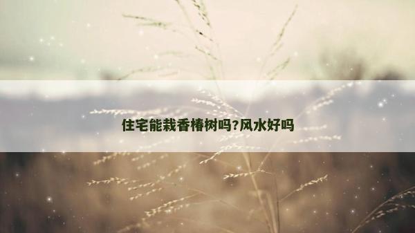住宅能栽香椿樹嗎?風水好嗎