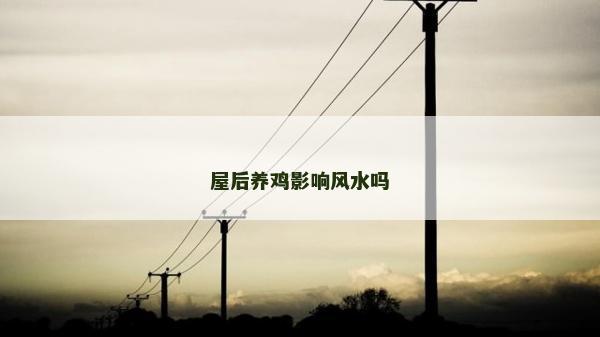 屋后養(yǎng)雞影響風(fēng)水嗎