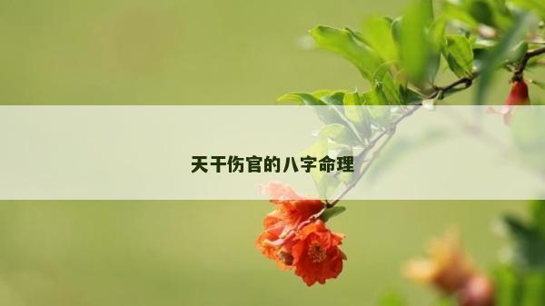 天干傷官的八字命理