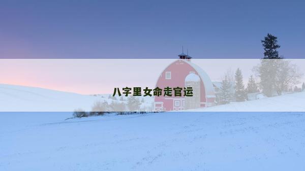 八字里女命走官運
