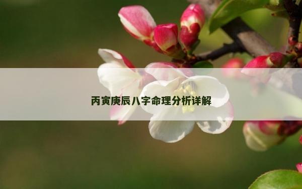 丙寅庚辰八字命理分析詳解