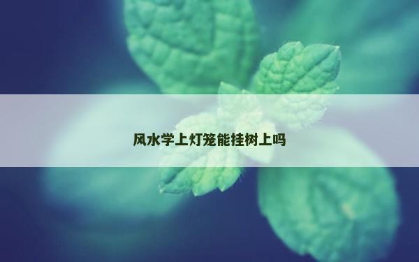 風水學上燈籠能掛樹上嗎