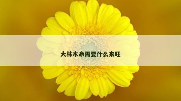 大林木命需要什么來旺
