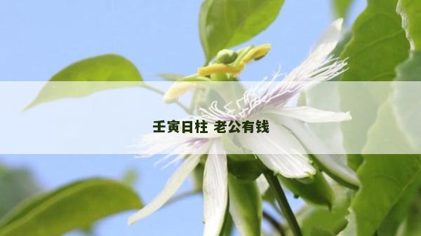壬寅日柱 老公有錢