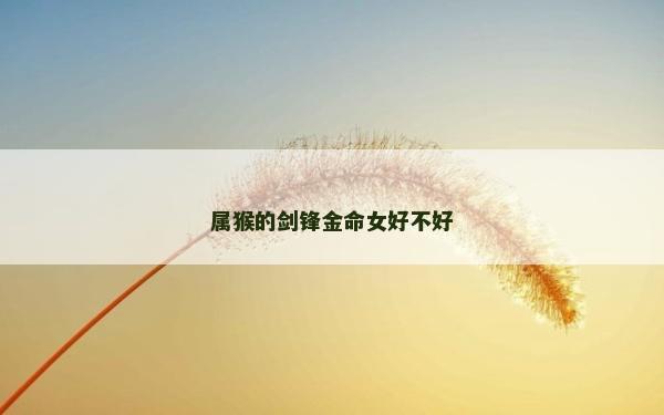 屬猴的劍鋒金命女好不好
