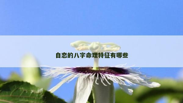 自戀的八字命理特征有哪些