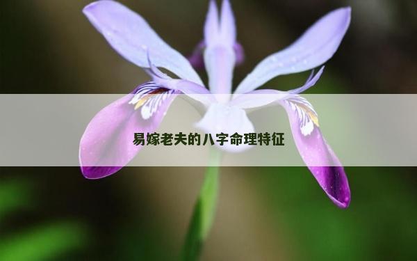 易嫁老夫的八字命理特征
