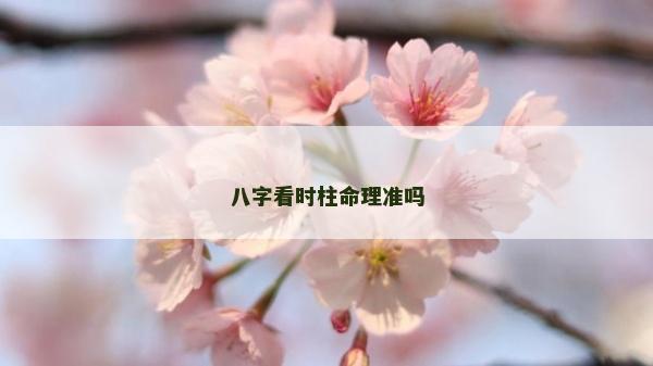 八字看時(shí)柱命理準(zhǔn)嗎