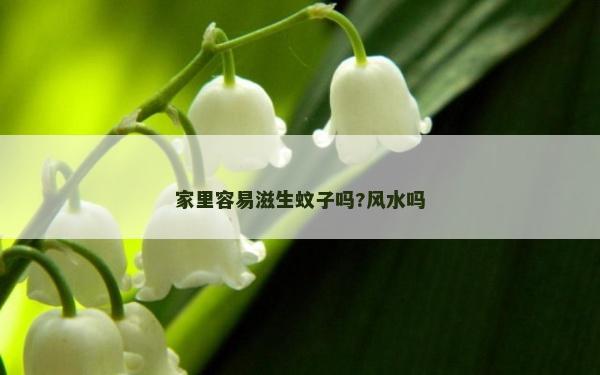 家里容易滋生蚊子嗎?風水嗎