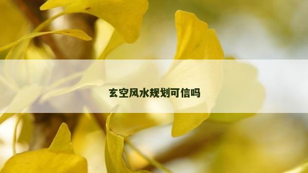 玄空風(fēng)水規(guī)劃可信嗎 玄空風(fēng)水規(guī)劃可信嗎