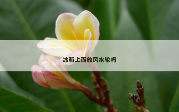 冰箱上面放風水輪嗎