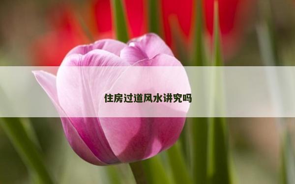住房過(guò)道風(fēng)水講究嗎