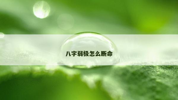 八字弱極怎么斷命