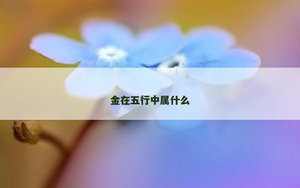 金在五行中屬什么
