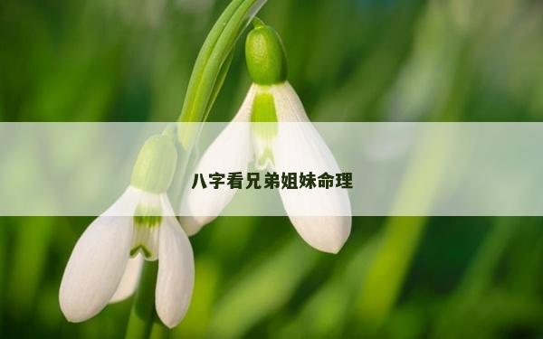 八字看兄弟姐妹命理