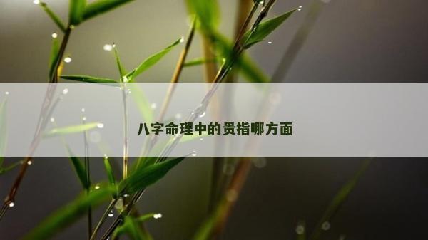 八字命理中的貴指哪方面