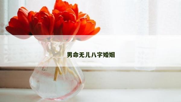 男命無兒八字婚姻