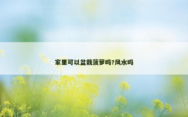 家里可以盆栽菠蘿嗎?風水嗎 家里可以盆栽菠蘿嗎?風水嗎