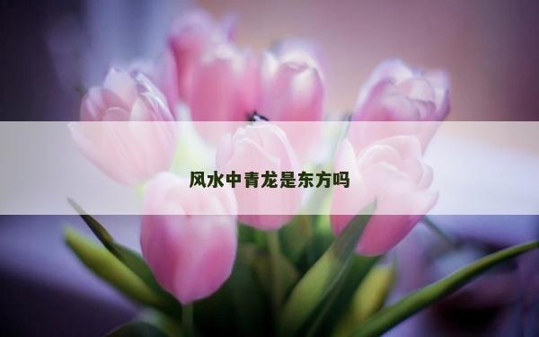 風水中青龍是東方嗎