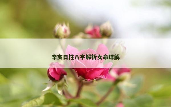 辛亥日柱八字解析女命詳解