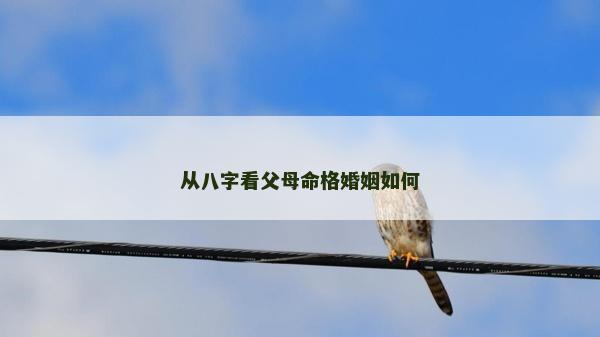 從八字看父母命格婚姻如何 從八字看父母命格婚姻如何