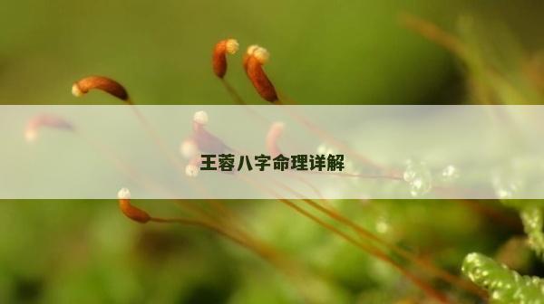 王蓉八字命理詳解