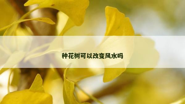 種花樹可以改變風水嗎