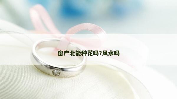窗戶北能種花嗎?風(fēng)水嗎