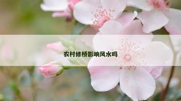 農村修橋影響風水嗎