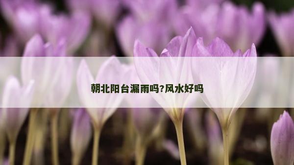 朝北陽(yáng)臺(tái)漏雨嗎?風(fēng)水好嗎