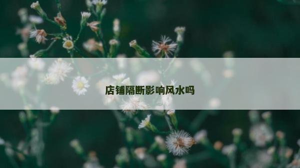 店鋪隔斷影響風水嗎 店鋪隔斷影響風水嗎