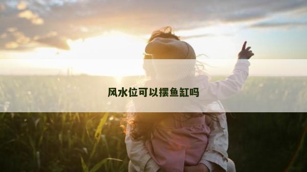 風(fēng)水位可以擺魚缸嗎