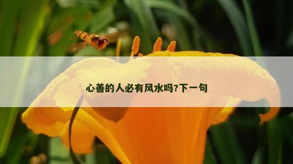 心善的人必有風(fēng)水嗎?下一句