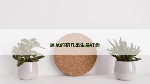 屬鼠的初幾出生最好命