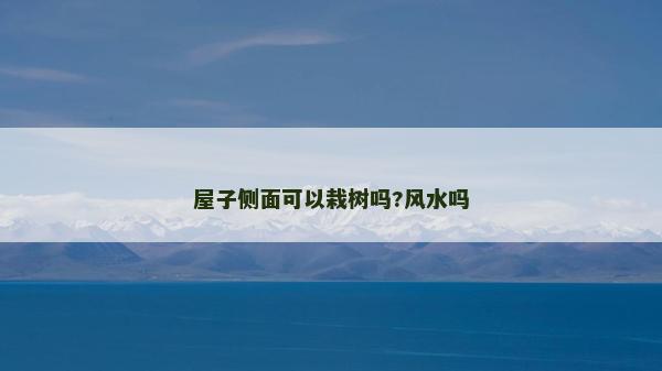 屋子側面可以栽樹嗎?風水嗎