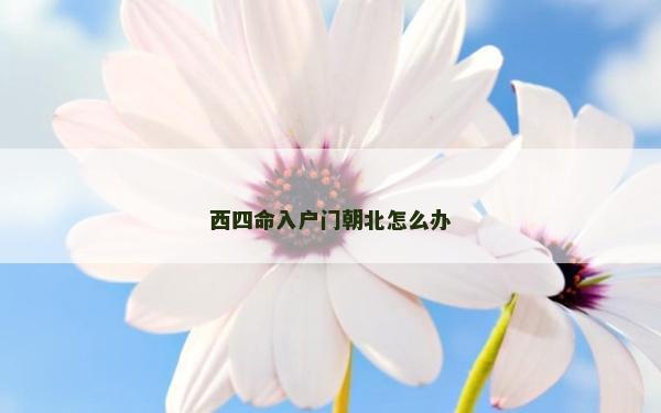 西四命入戶門朝北怎么辦