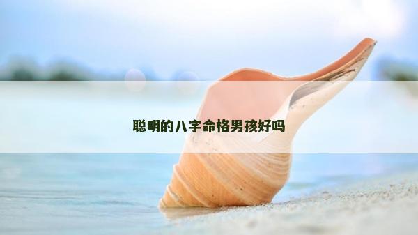 聰明的八字命格男孩好嗎