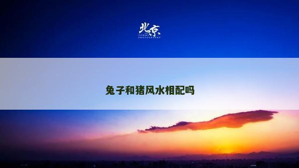 兔子和豬風(fēng)水相配嗎