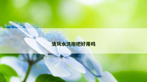 清風水洗拖把好用嗎