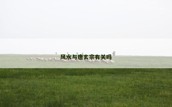 風水與唐玄宗有關嗎
